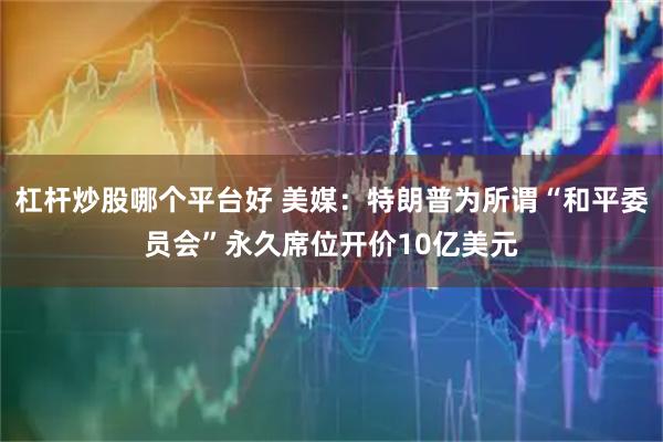 杠杆炒股哪个平台好 美媒：特朗普为所谓“和平委员会”永久席位开价10亿美元
